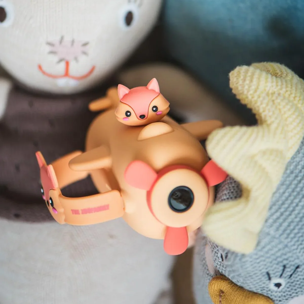 Camera Zoo Vidéo - Renard