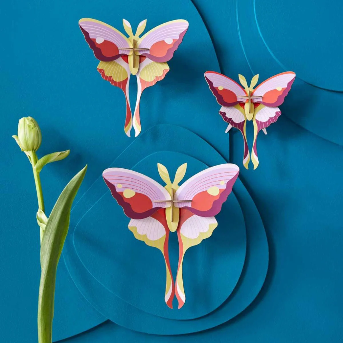 Set De 3 Décorations Murale Lilac Comet Butterflies