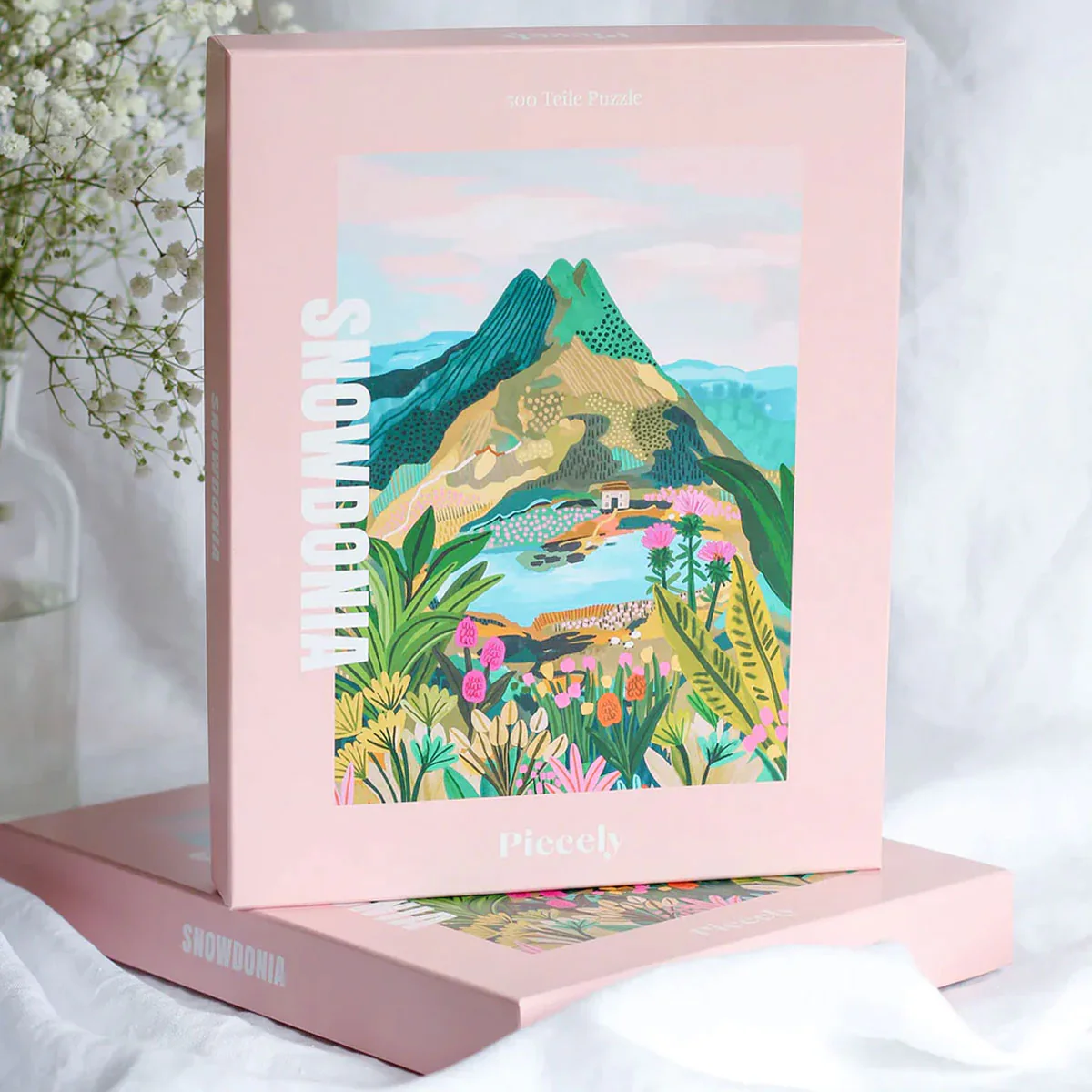 Puzzle Snowdonia - 1000 Pièces