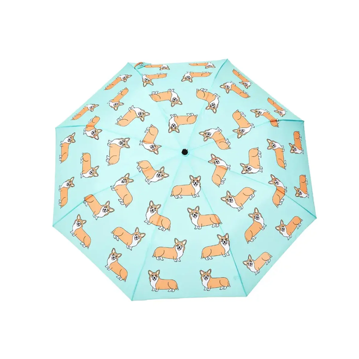 Parapluie à manche Tête de Canard - Corgi - Coucou Suzette