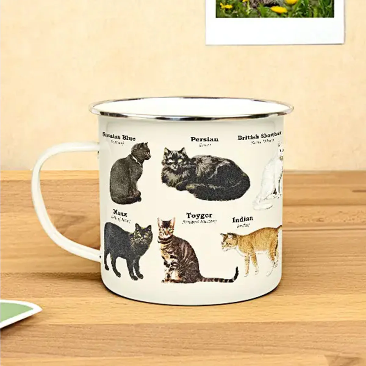 Tasse émail Chats