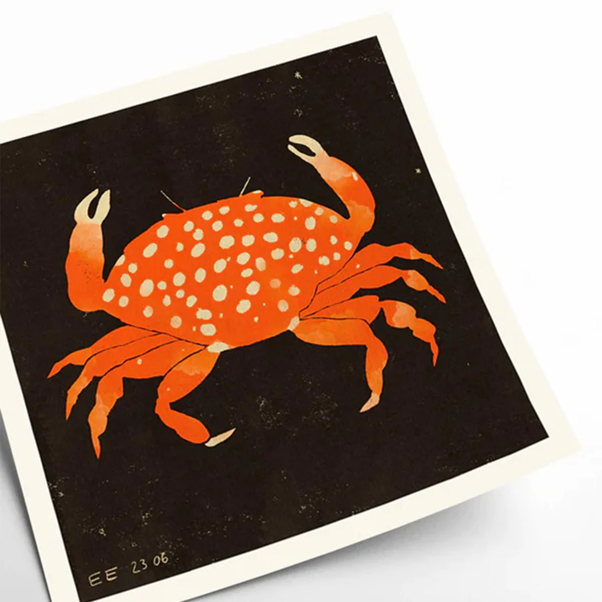 Affiche Enik? Eged - Spotted Crab - 50 x 50 cm