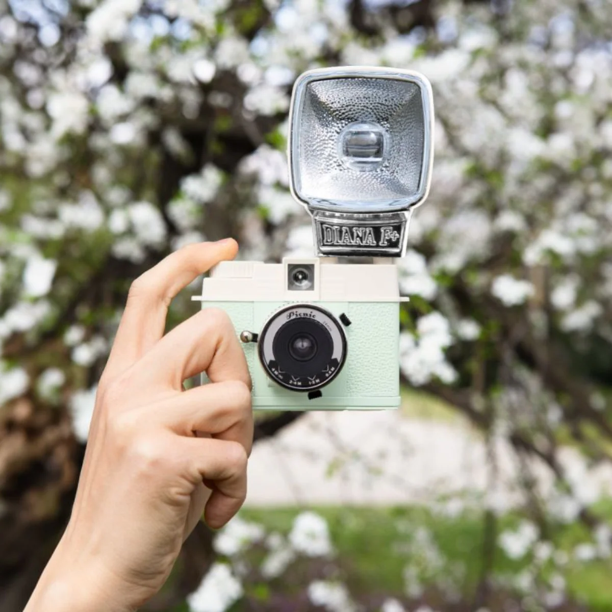 Appareil Photo Half-frame Lomourette Picnic Edition