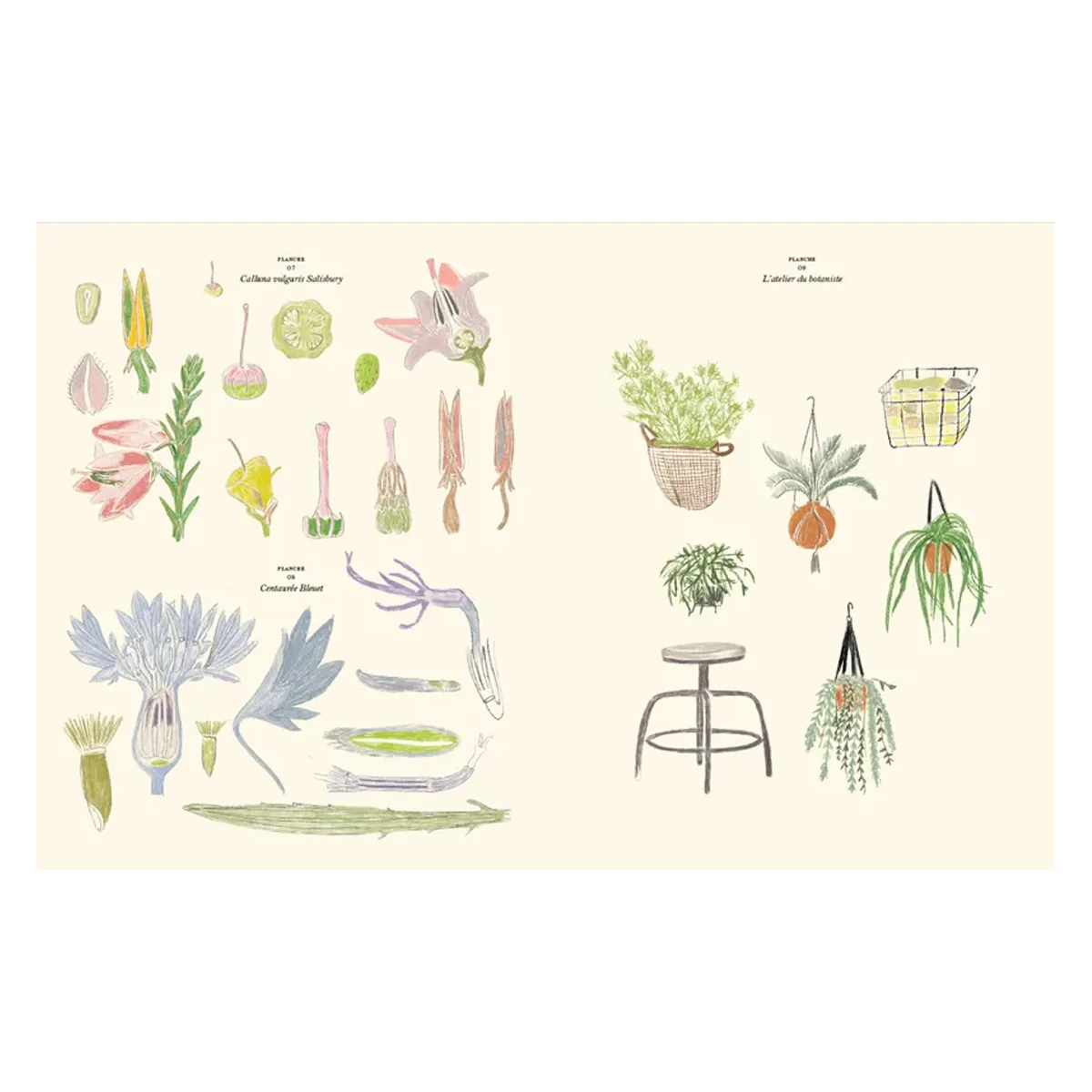 Carnet de coloriage et de stickers Le jardin - Zoé de Las Cases