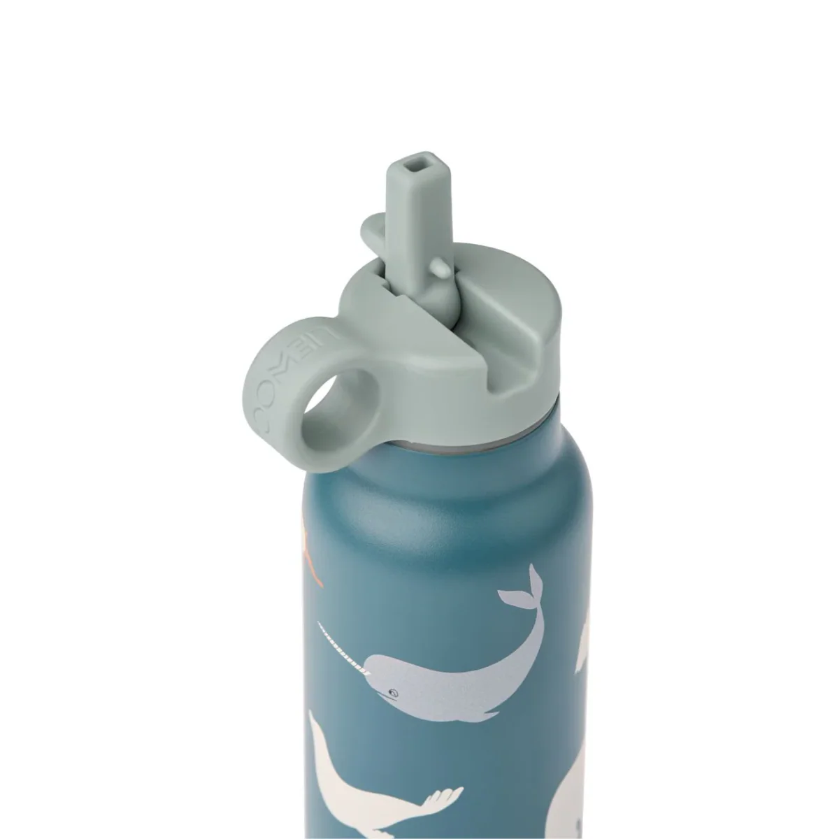 Gourde Falk - Arctic Sea/Ocean View - 350 ml