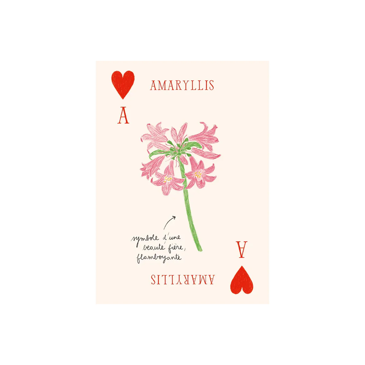 Jeu de cartes Les Fleurs - Zoé de Las Cases