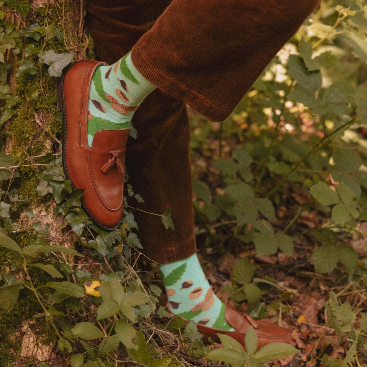 Chaussettes Châtaignes