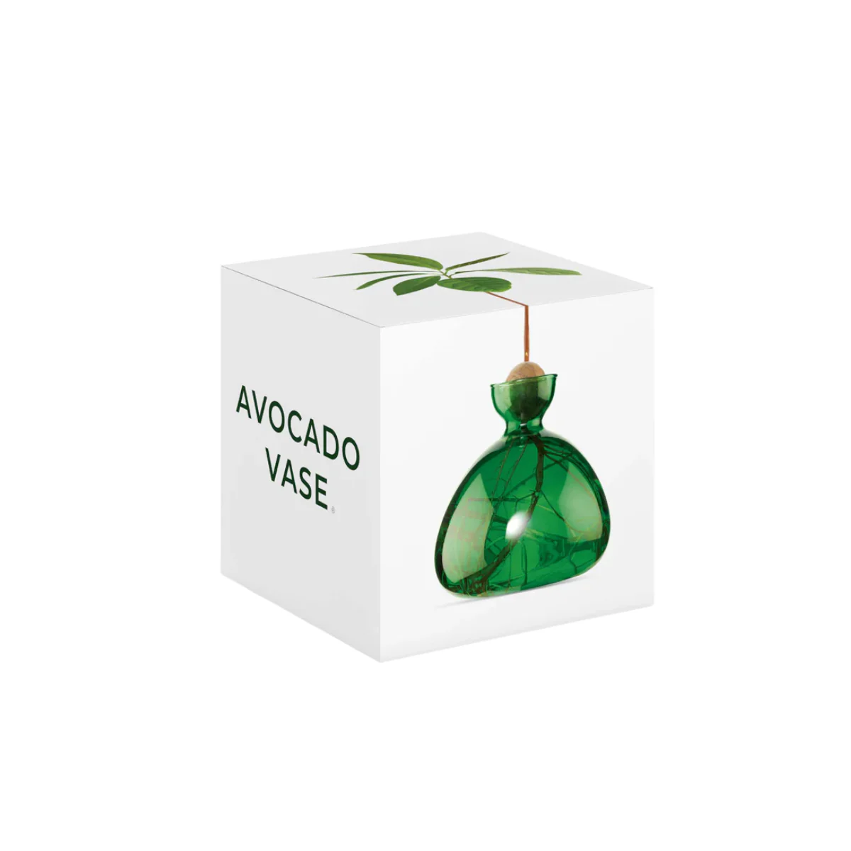 Vase en verre pour avocat