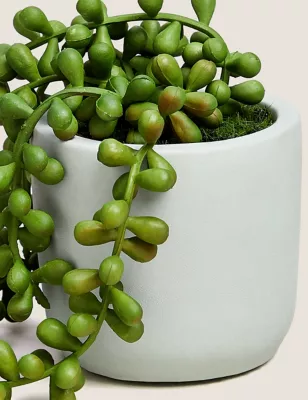 Artificial Mini String Of Pearls In Pot