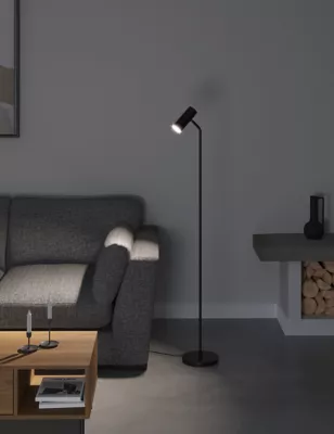 Led Floor Lamp