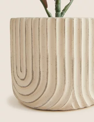 Artificial Rubber Plant In Concrete Pot