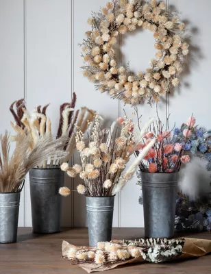 Dried Thistle Bouquet
