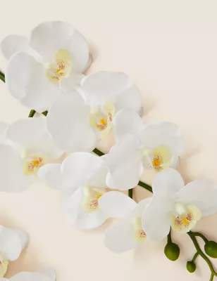 Set Of 2 Artificial Orchid Single Stems