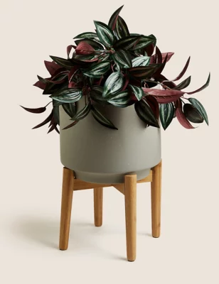 Large Ceramic Planter With Stand