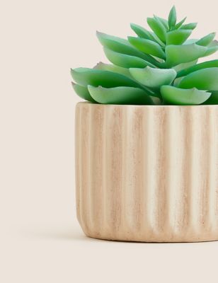 Artificial Mini Echeveria Succulent In Pot