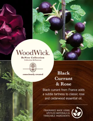 Renew Blackcurrant & Rose Medium Jar Candle