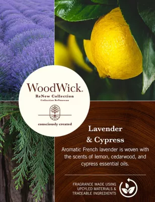 Renew Lavender & Cypress Large Jar Candle