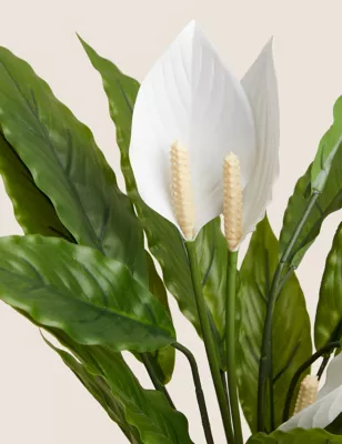 Artificial Peace Lily In Ceramic Pot