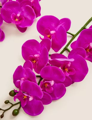 Set Of 2 Artificial Orchid Single Stems