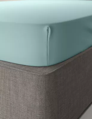 Cotton Rich Percale Fitted Sheet