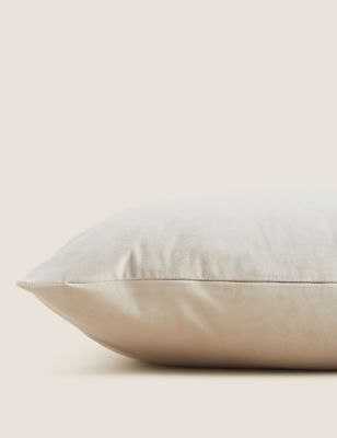 Velvet Cushion