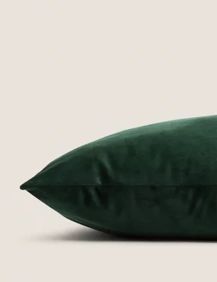 Velvet Cushion