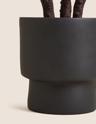 Artificial Rubber Plant In Cement Pot