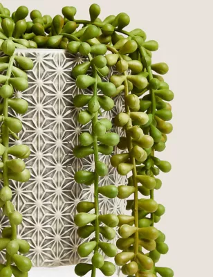 Artificial String Of Pearls In Ceramic Pot