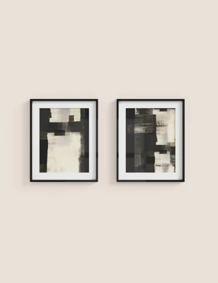 Set Of 2 Monochrome Abstract Framed Art