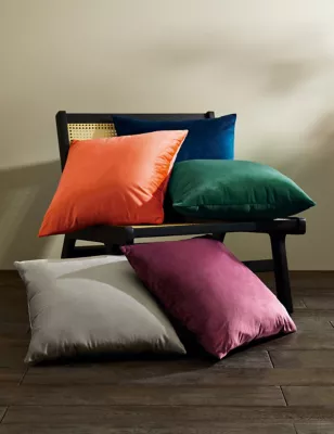Velvet Cushion