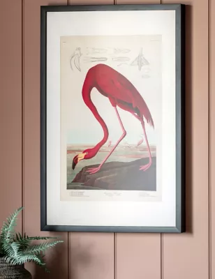 Curious Flamingo Rectangle Framed Art
