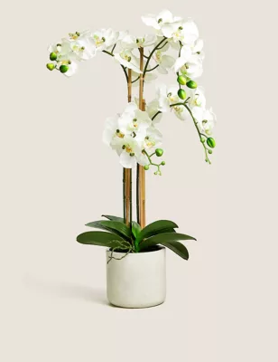 Artificial Real Touch Extra Large Orchid In Pot