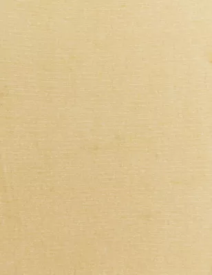 5 Denier Bare Invisible Open Toe Tights