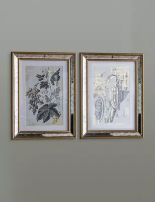 Set Of 2 Braun Botanical Rectangle Framed Art