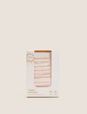 Copper Warm White Battery String Lights
