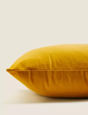 Velvet Cushion
