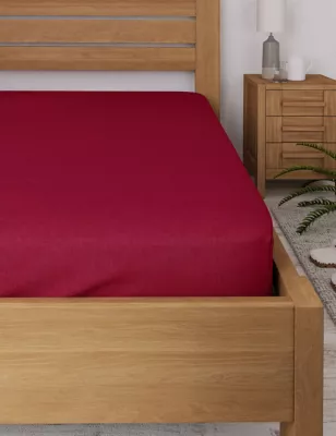 Cotton Rich Percale Fitted Sheet