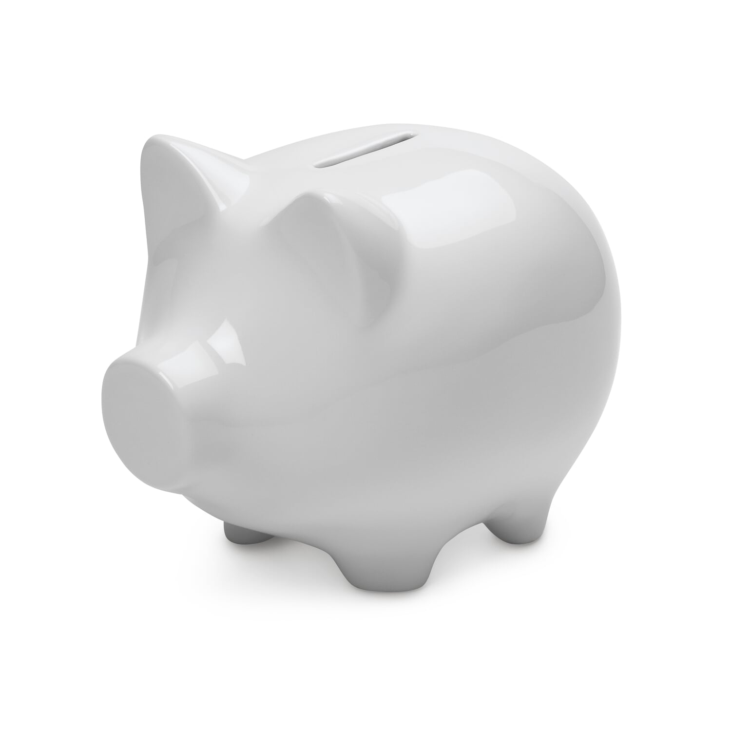 Piggy bank conservative