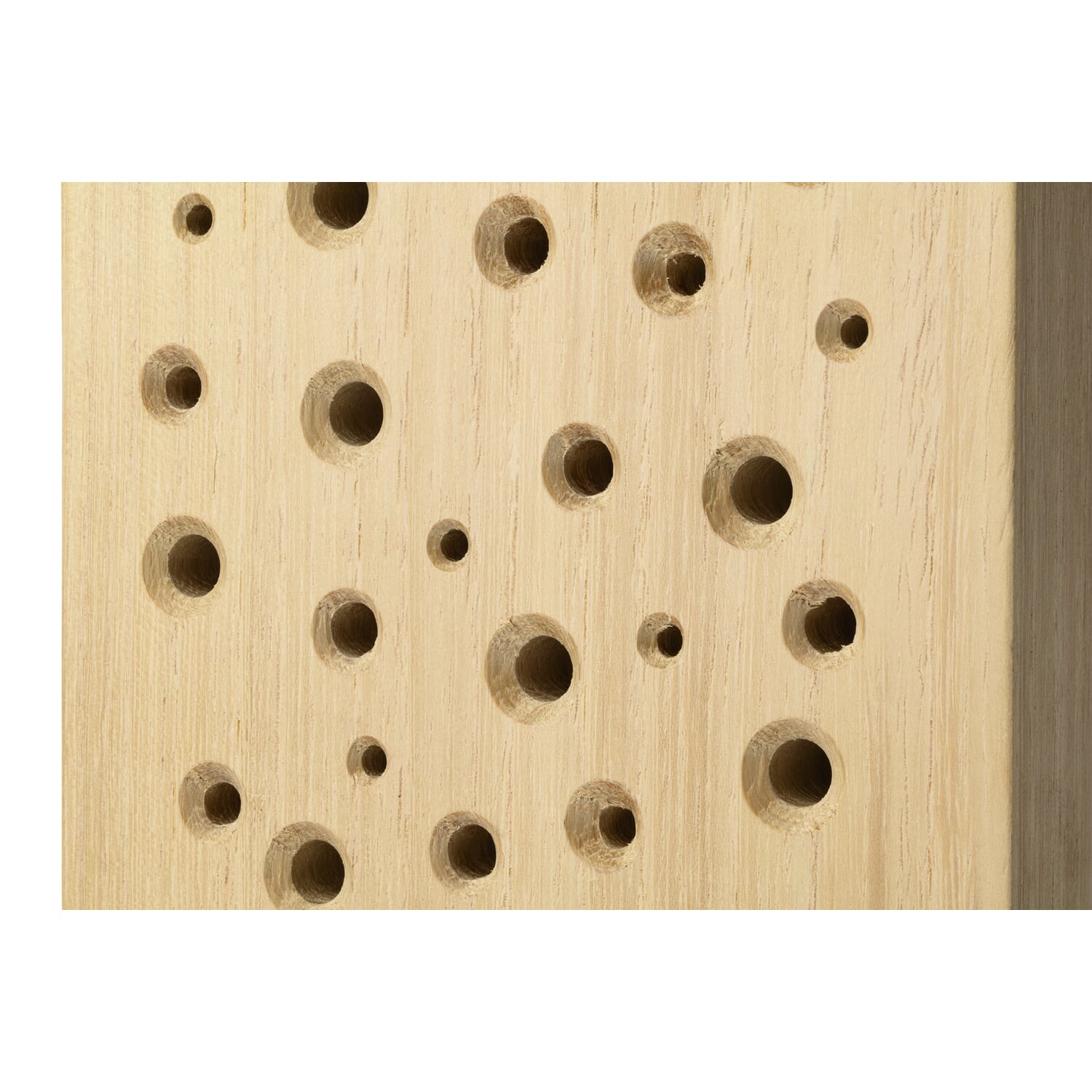 Wild bee house robinia wood