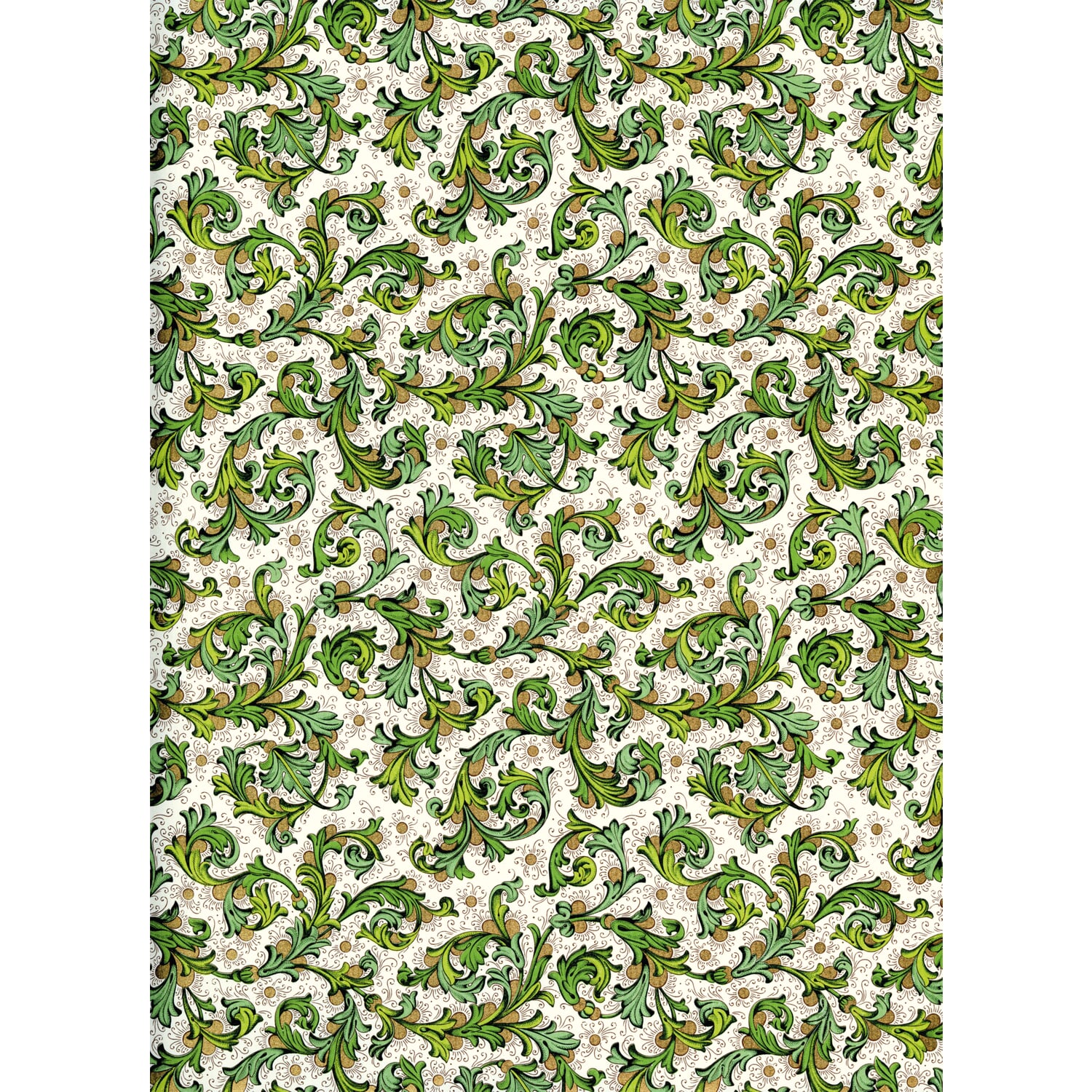 Florentine paper Fiorentina