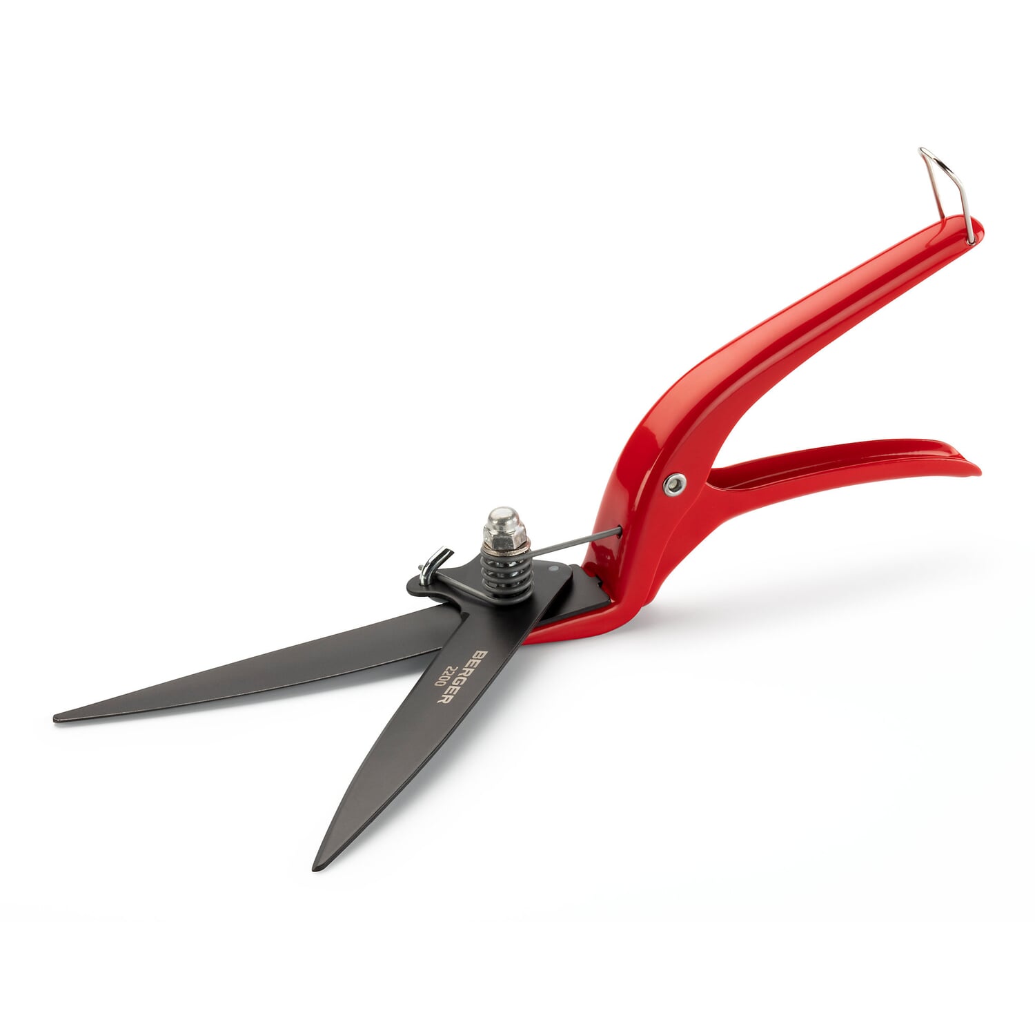 Lawn edging shears
