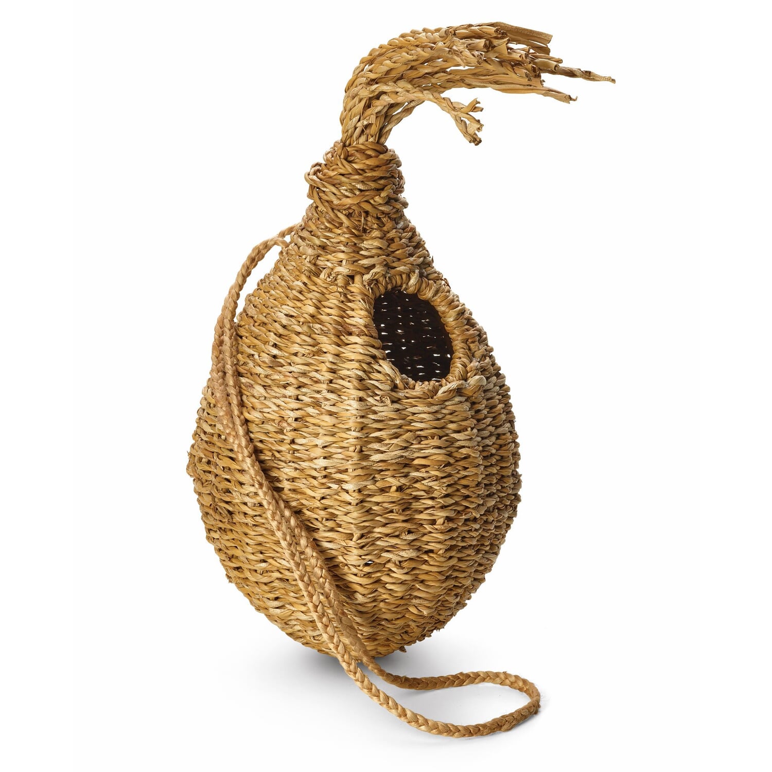 Squirrel nest reed grass