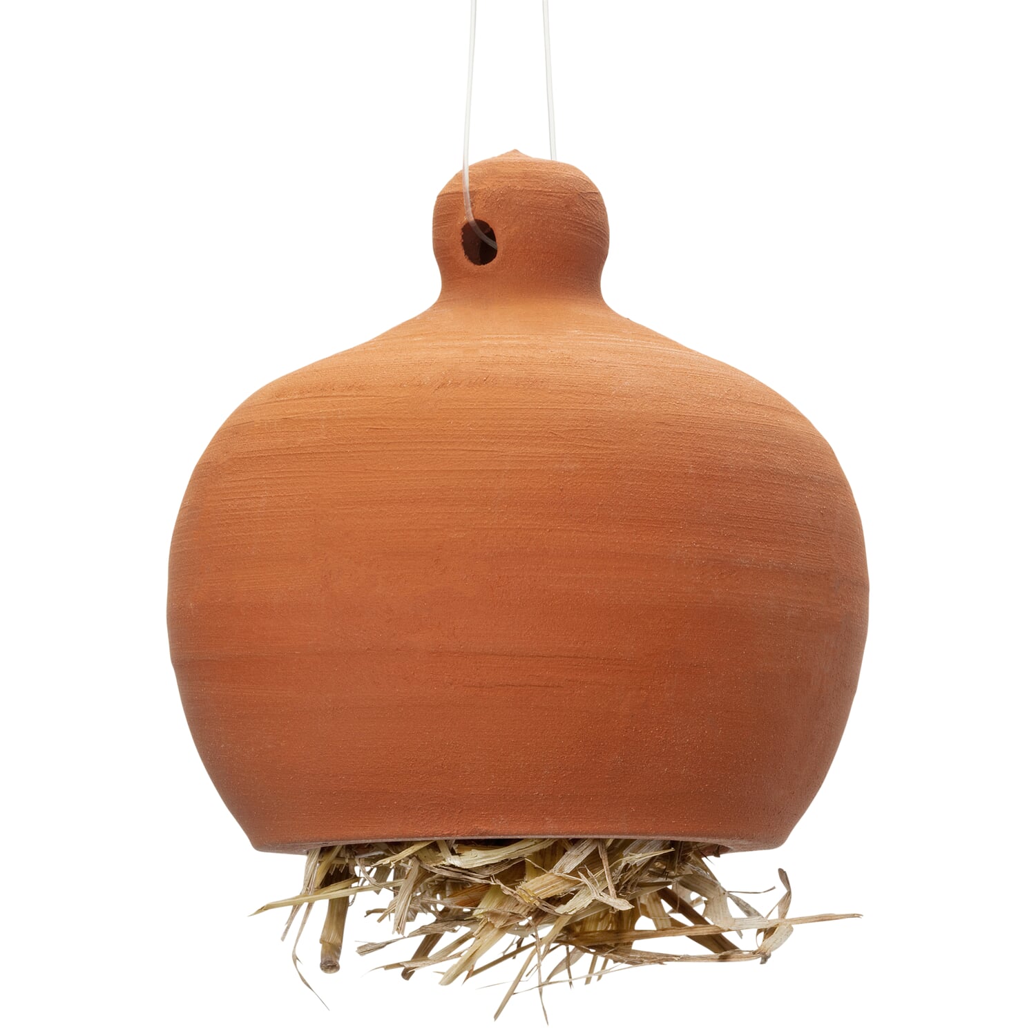 Ear worm pot terracotta