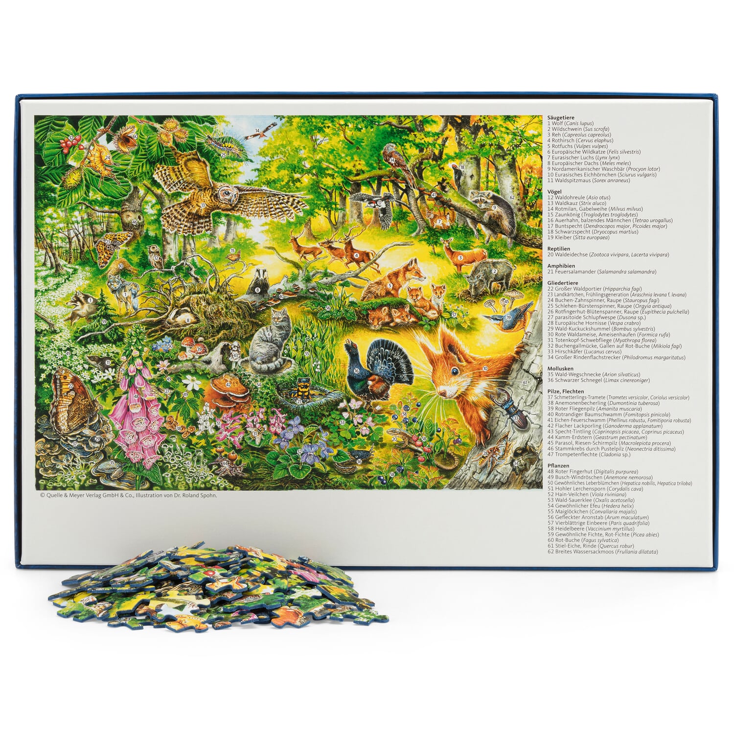 Forest hidden object puzzle 500 pieces