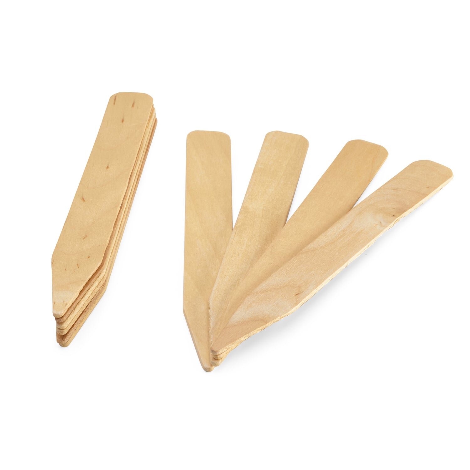 Plant labels birch wood