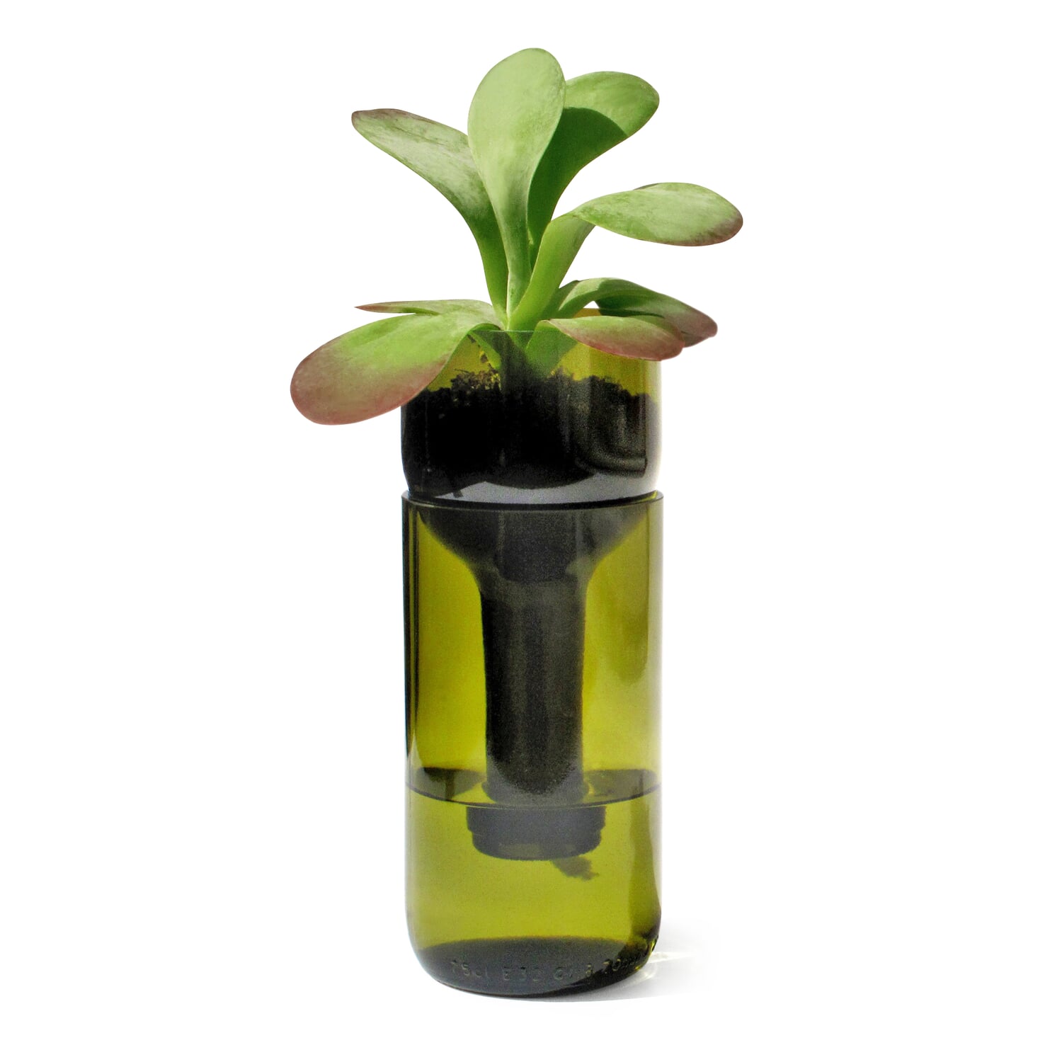 Planter Self Watering Bottle
