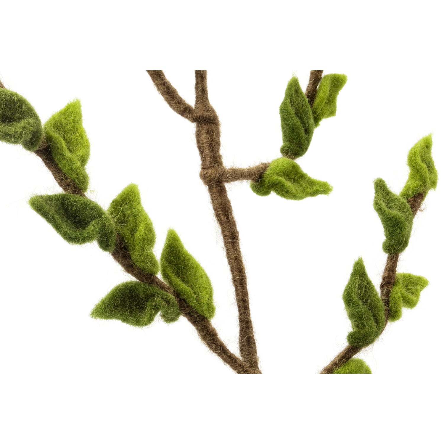 Beech branch felt