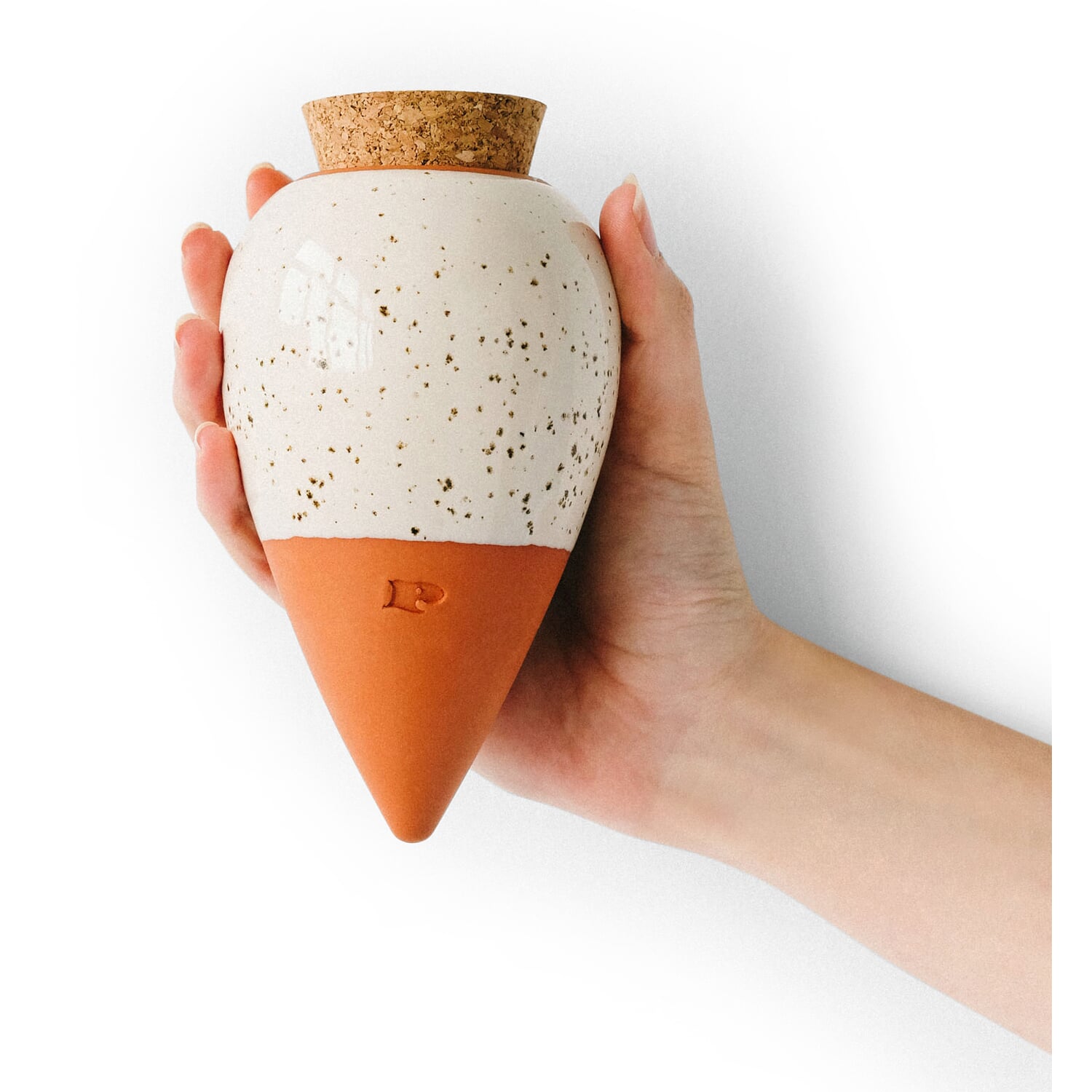 Ollas irrigation cone