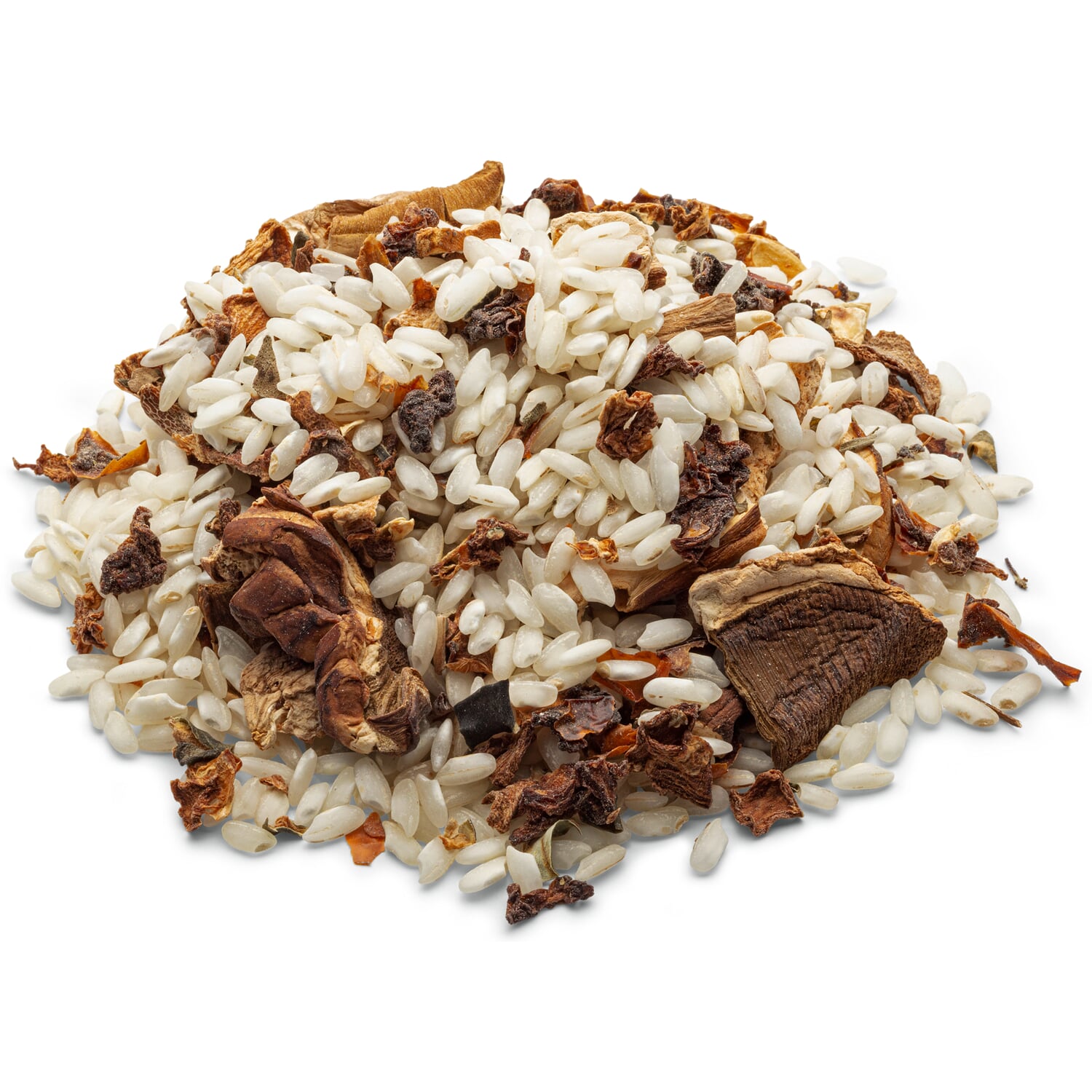 Organic risotto with porcini mushrooms