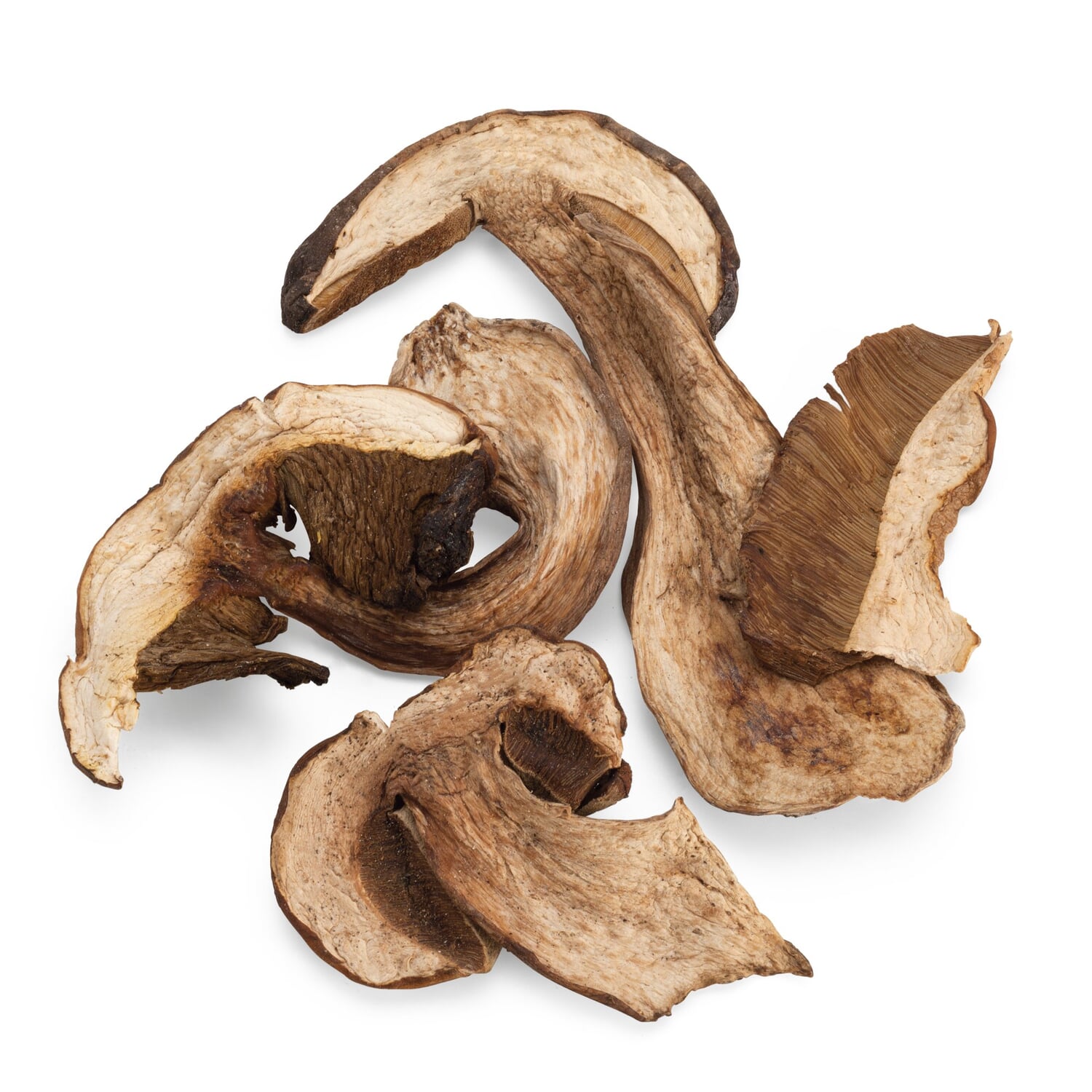 Dried porcini mushrooms